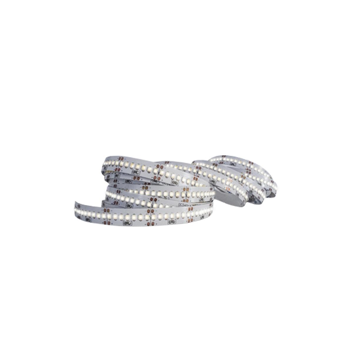 Art. 6102/24V Strip Led 2835 14,4w/mt 4000K 24VDC 2000lm/mt IP20 5MT